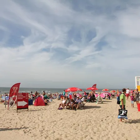 فيلة Heerlijk Egmond بيرشِن